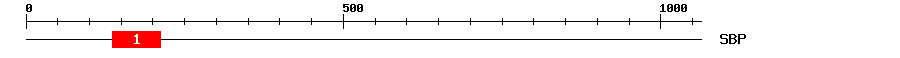 Signature Domain