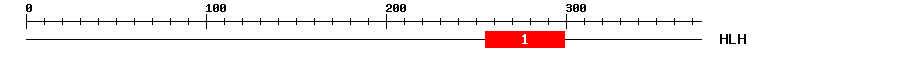 Signature Domain