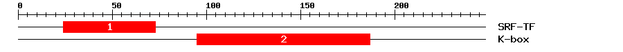 Signature Domain