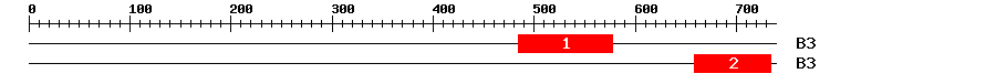 Signature Domain