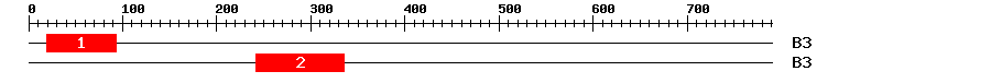 Signature Domain