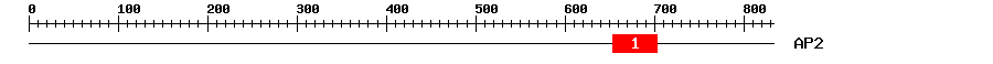Signature Domain