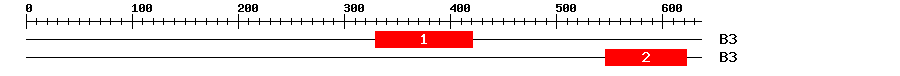 Signature Domain