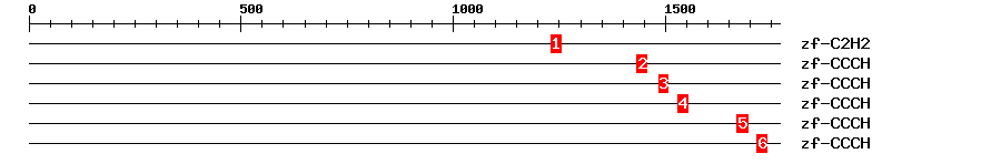 Signature Domain