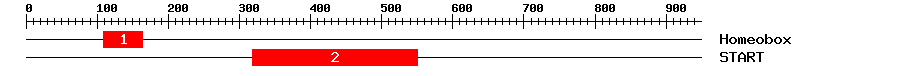 Signature Domain