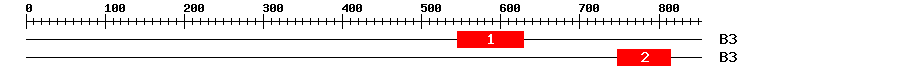 Signature Domain