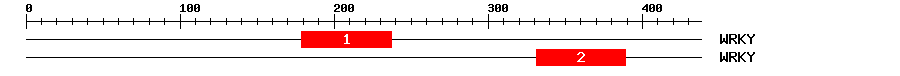 Signature Domain