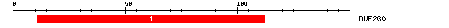 Signature Domain