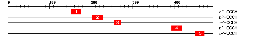 Signature Domain