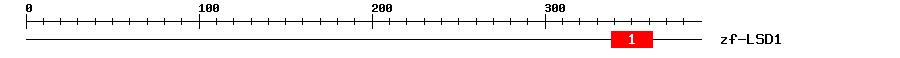 Signature Domain