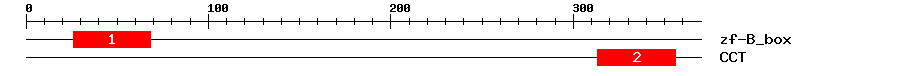 Signature Domain