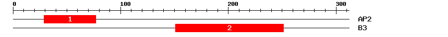 Signature Domain