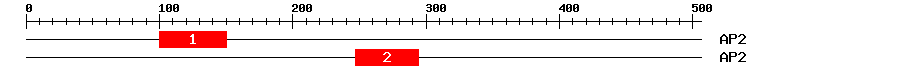 Signature Domain