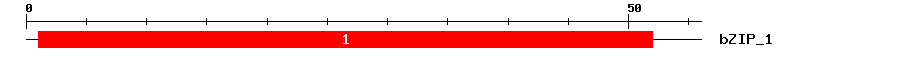 Signature Domain