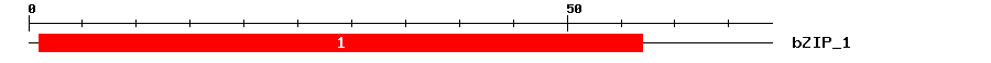 Signature Domain