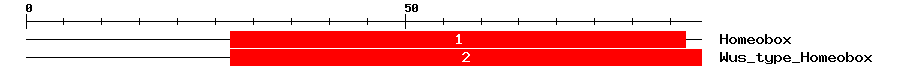 Signature Domain