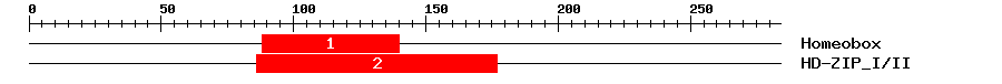 Signature Domain