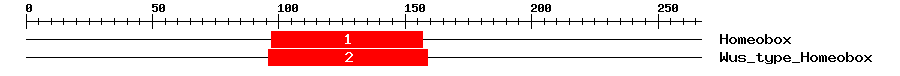 Signature Domain