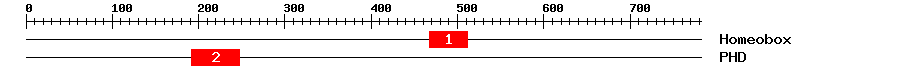 Signature Domain