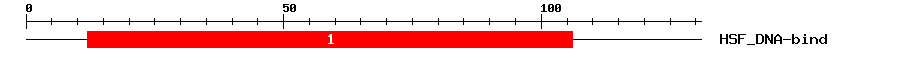 Signature Domain