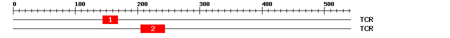 Signature Domain