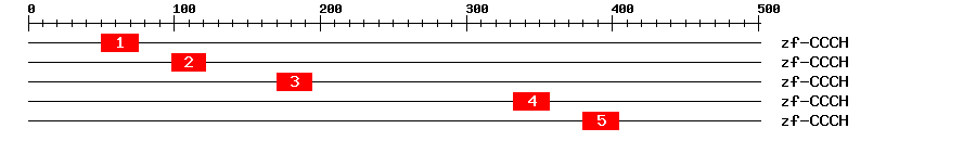 Signature Domain