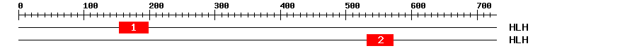 Signature Domain