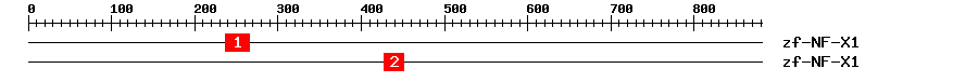 Signature Domain