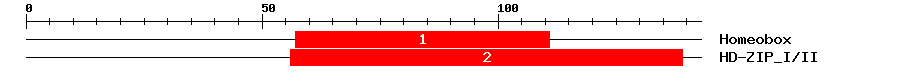 Signature Domain