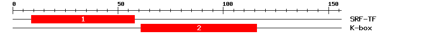 Signature Domain