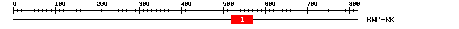 Signature Domain