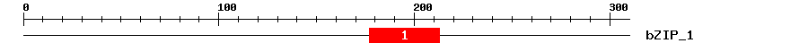 Signature Domain