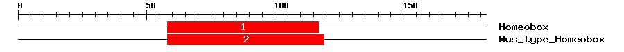 Signature Domain