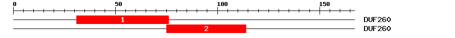 Signature Domain