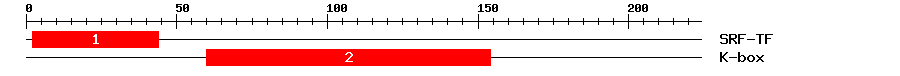 Signature Domain