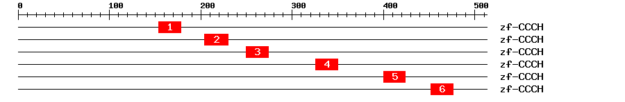 Signature Domain
