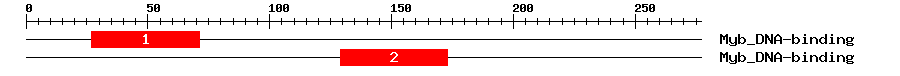 Signature Domain