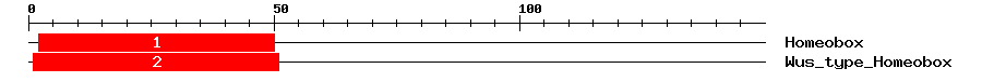Signature Domain