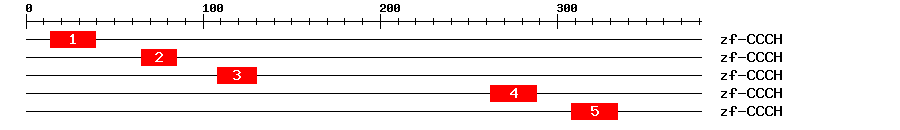 Signature Domain
