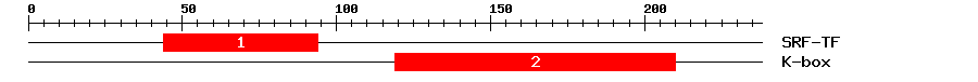 Signature Domain