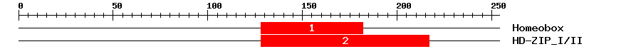 Signature Domain