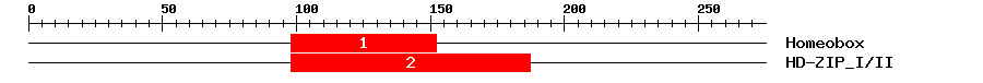 Signature Domain