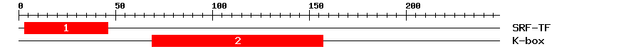 Signature Domain