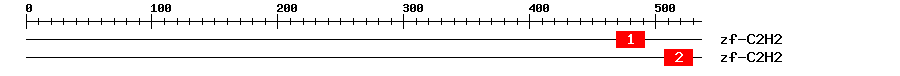 Signature Domain