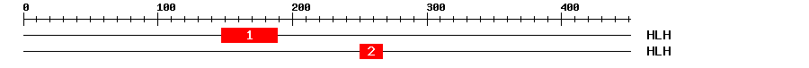 Signature Domain