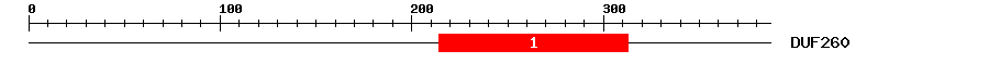 Signature Domain