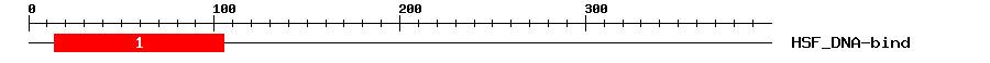 Signature Domain