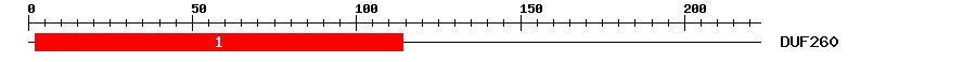 Signature Domain