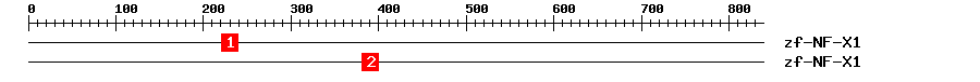 Signature Domain