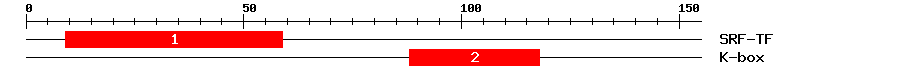 Signature Domain